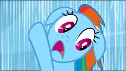 Rainbow Dash sees Rarity falling S1E16