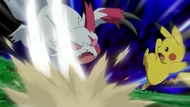 EP776 Zangoose usando cuchillada