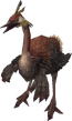 Epiornis-ccvii