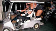 WrestleMania 17.7