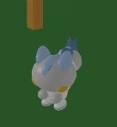 Pachirisu1 