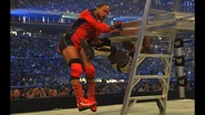 WrestleMania 25.11