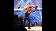 WrestleMania 25.43