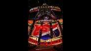 WrestleMania 25.78