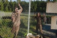 Walking-Dead-311-18