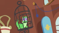 Gummy why am I here S3E13