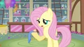 Fluttershy trying her best S3E13.png