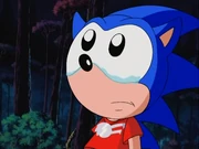 Sonic-Crying