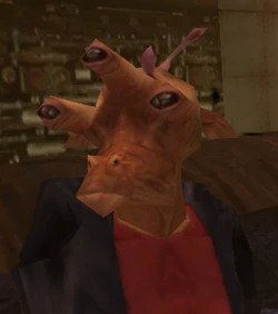 Ninopass Orocc
