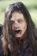 Clear Walker