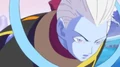 WhisN(BoG)