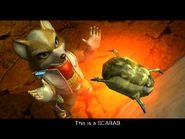 Orangescarabs