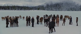 Cullens-witnesses-end
