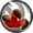 Round Physical