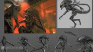 Raven-concept