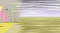 Screen zip S2E26