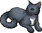 Duskwater.star