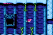 Polypnes