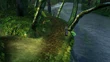 Kilika woods2