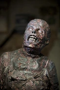 Walking-Dead-312-06