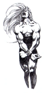 Adel Sealed FFVIII Art