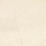 Tumblr mdygo6pHv81qd3518o2 250