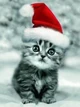 HeatChristmasAvatar