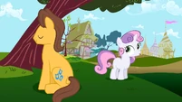 Sweetie Belle "nothing wrong with this one" S2E17