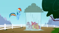 Rainbow Dash dropping rain on the CMC S2E23