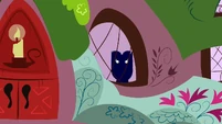 Owlowiscious looking creepy S1E24