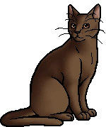 Dustpelt.warrior.alt