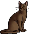 Dustpelt.warrior.alt