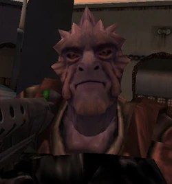 Ona Kragg