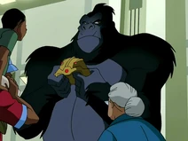 Grodd display