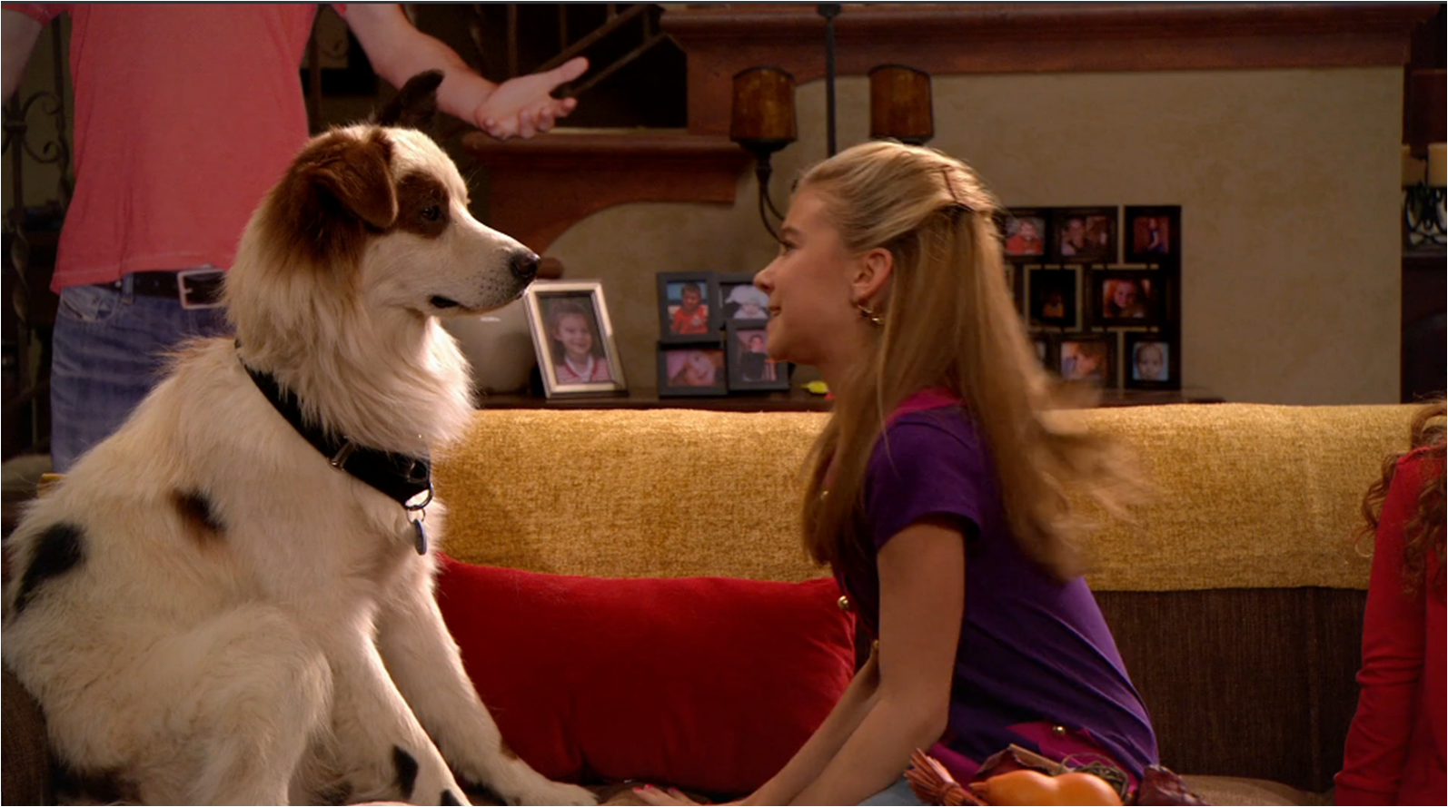 G. Hannelius Dog with a Blog
