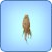 Ginseng