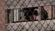 TWD 1018
