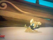 Patch the Pirate Pup01