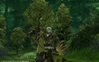 Chocobo Mount XIV