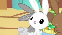 Angel recongnizes Fluttershy S3E13