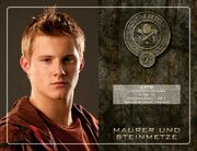 042247038-the-hunger-games-die-tribute-von-panem