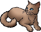 Primrosepaw.star