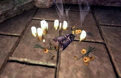 Stendarr's Mercy