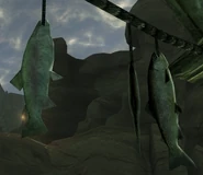 FoNV Dried Fish