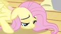 Fluttershy recovering S3E13.png
