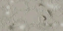GTSE4F 36331efb 14