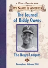 The Journal of Biddy Owens
