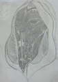Ruh 2013-03-14 updated.jpg