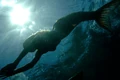 Rikki Swimming