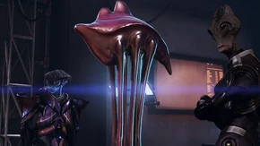 Blasto + prothy + salarian direc